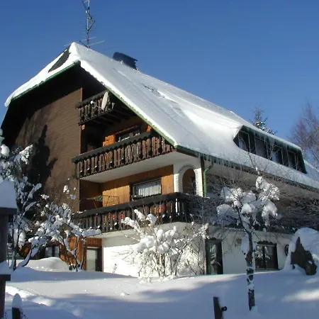 Haus Ingeborg Διαμέρισμα Dachsberg im Schwarzwald