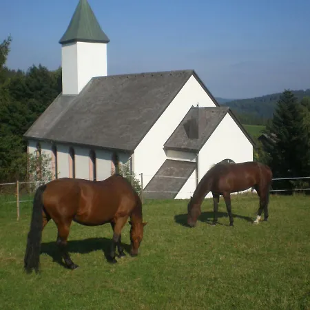 Apartment Haus Ingeborg Dachsberg im Schwarzwald