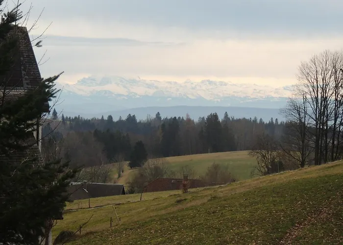Haus Ingeborg * Dachsberg im Schwarzwald