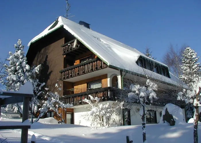 Haus Ingeborg Apartamento Dachsberg im Schwarzwald