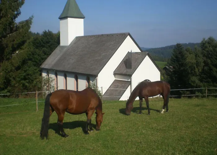 Apartamento Haus Ingeborg Dachsberg im Schwarzwald